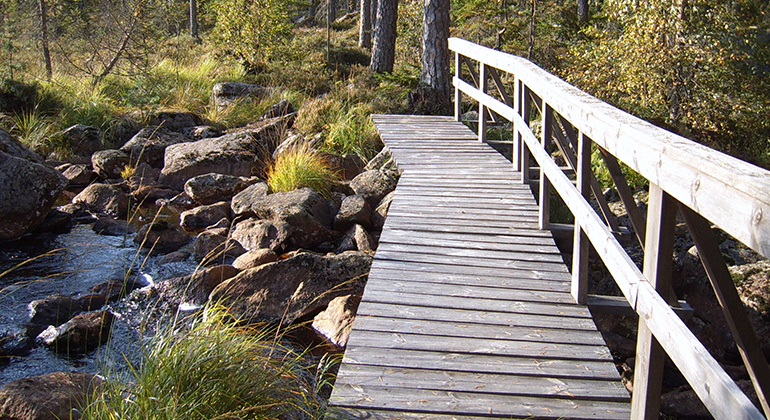 En svängd träbro med räcke på ena sidan hjälper besökare att ta sig över vattendrag.