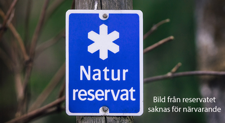Bild på naturreservatsskyld. Bild från reservatet saknas för närvarande.