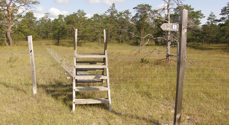 Naturområde med stätta över trådstaket. Bakom stättan finns en spång som leder vidare över gräsmark mot lågvuxen skog. I förgrunden syns en vägvisare i trä med skylt som pekar åt vänster i bild med texten "1,2" och bilden av ett utsiktstorn.