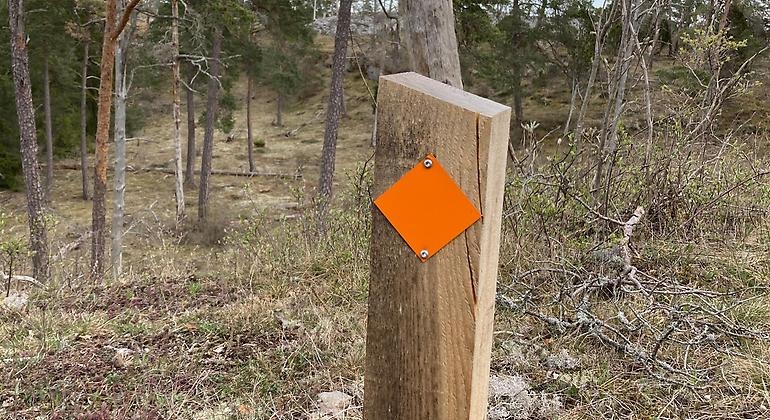 stolpe i skogsmark med orange markering