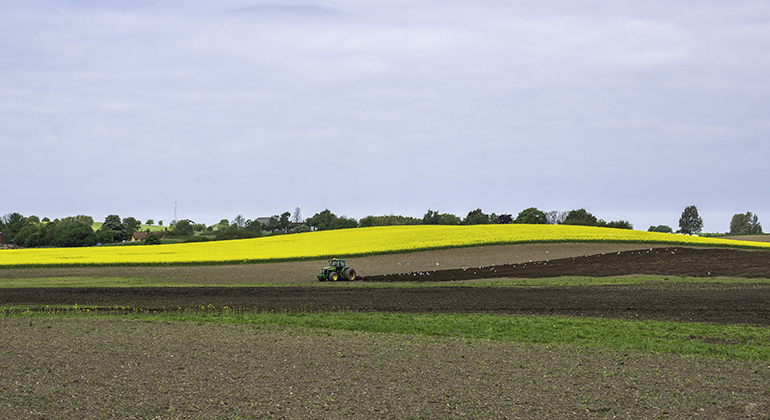 Jordbrukslandskap och rapsfält. Centralt i bildens syns en grön traktor. 