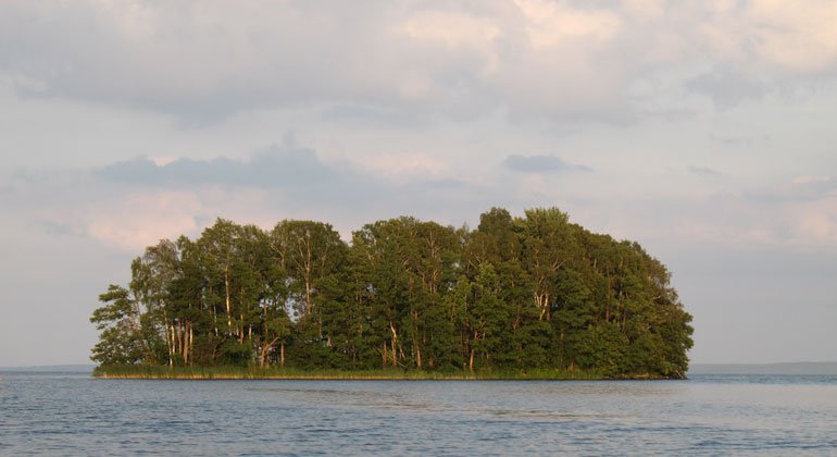 En liten skogsklädd ö i en sjö.