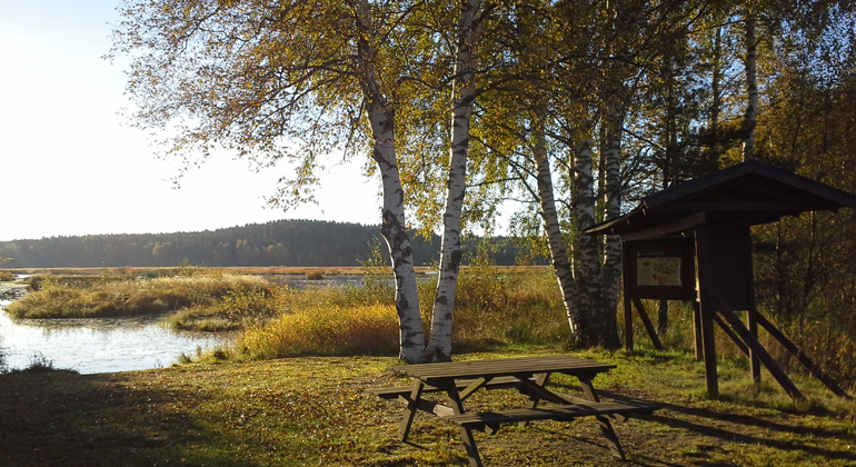 Vid Ålsjön kan du sätta dig och fika alldeles vid strandkanten och sedan följa spången bort längs sjön. Foto: Länsstyrelsen Gävleborg