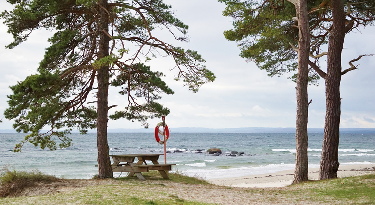 Bänkbord vid stranden. Foto: Josefin Persson