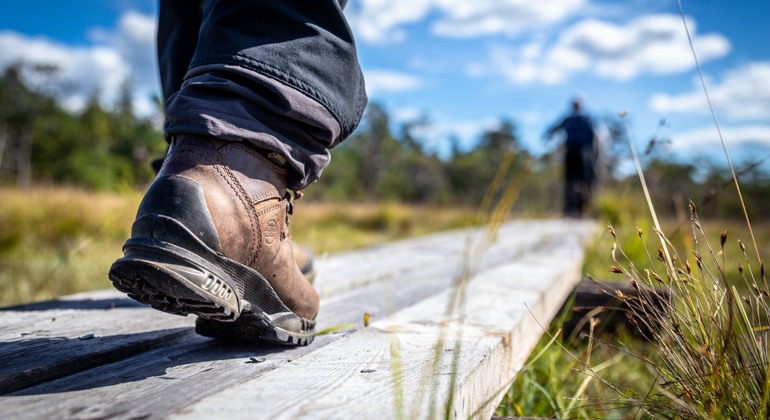 Närbild på vandrares fot i steget på spång. Gräs växer bredvid spången. Kängan på foten är brun.