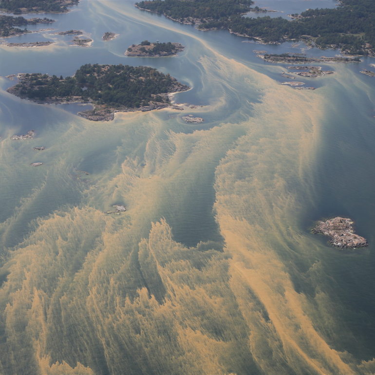 Cyanobakterieansamlingar utanför Östergötlands kust 2014. Foto: Kustbevakningen