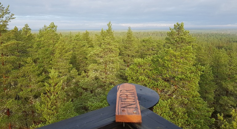 Vyer över Kolmårdsskogarna från utsiktstornet i Skogsbyås naturreservat där även kanten på ett räcke och en träpil med ordet norr syns. 