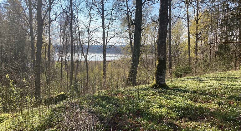 Utsikt över Vibysjön från Lundby äng. Foto: Michael Andersson