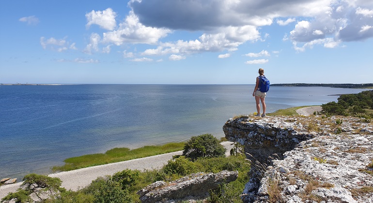 En bild över havet från Grogarnsberget på Gotland