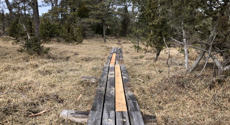 Trasig spång har blivit som ny i Kallgatburg naturreservat