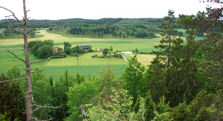 Utsikt över Uknadalen från Stjälkhammars naturreservat