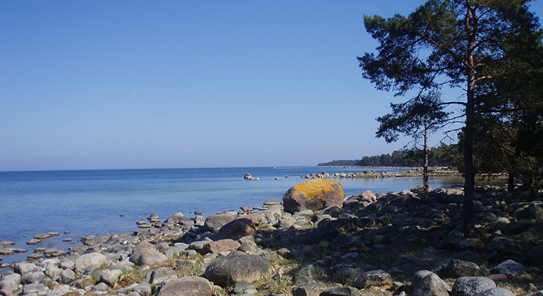 En stenig strand i Vållö naturreservat.