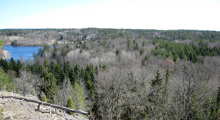 Magnikfik utsikt från reservatets högsta punkt