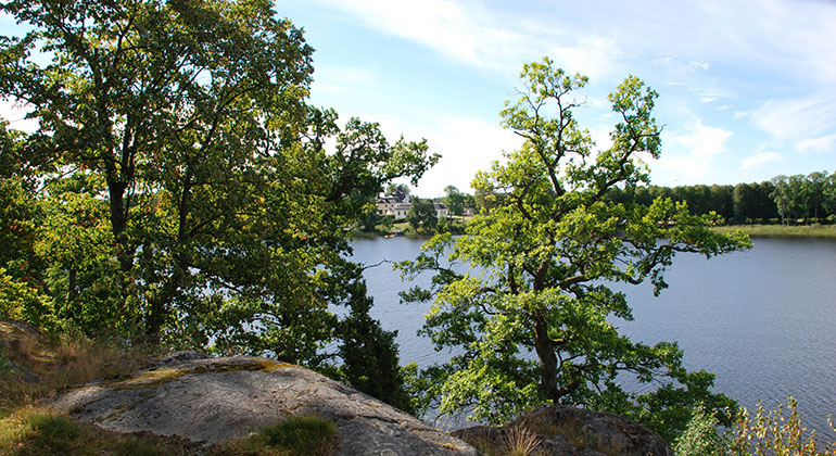 Utsikt mot Sparreholms slott