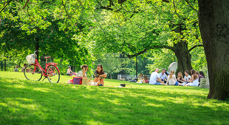 Ungdomar sitter och har picknick i en solig park