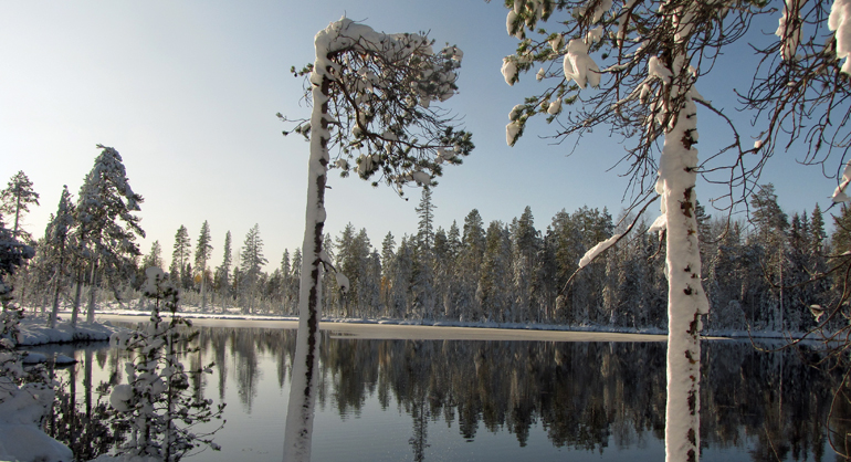 Öppen sjö under vintertid med gammal skog runt om kring.