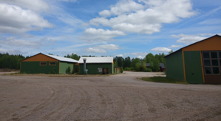 Helmer Borsiö-sågen på Trekanstområdet Västra skogen, Vimmerby kommun Juni 2018