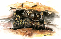 Lindskål är en svamp som oftast växer på döda stammar och grenar av lind. Illustration: Teresia Holmberg.