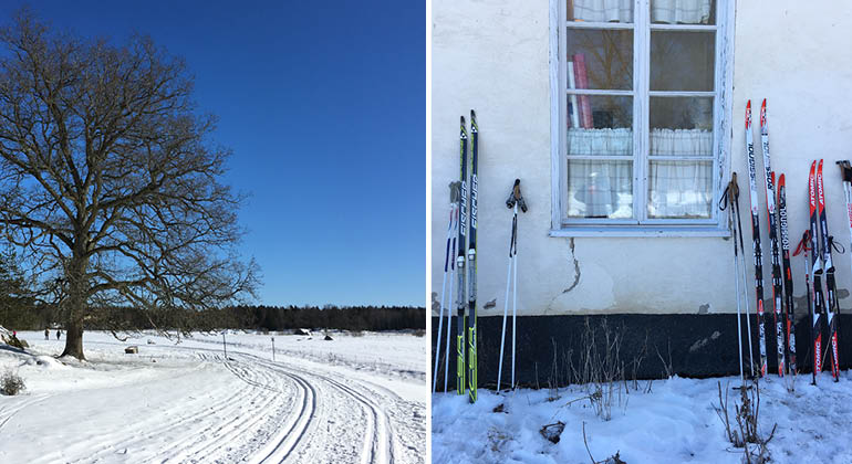Skidspår förbi en stor ek och skidor mot väggen på Hammarskogs herrgård