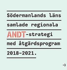  Regional ANDT-strategi