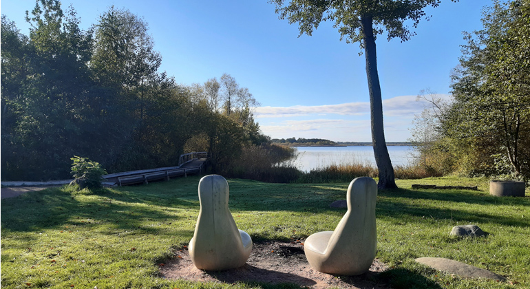 Utsikt över Hammarsjön. Foto: Josefin Persson