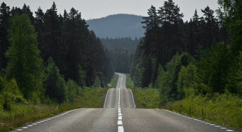 Landsväg i skogslandskap
