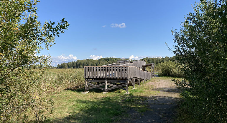 Det finns flera upphöjda observationsplatser inom reservatet.