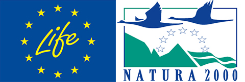 Logotyper för LIFE och Natura 2000