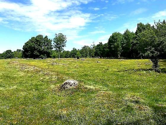 Lärkesholm, fossilt landskap med stensträng och åkerytor.