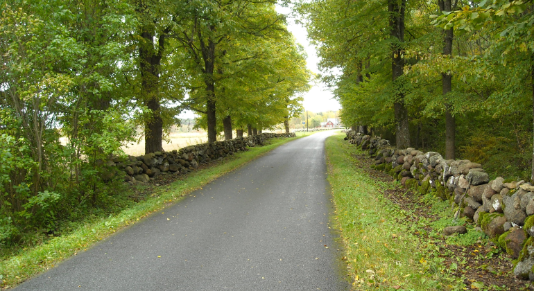 Landsväg med stenmur om ömse sidor