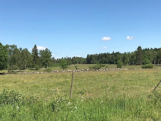 Betesmark med stengärde i Isakstorp 