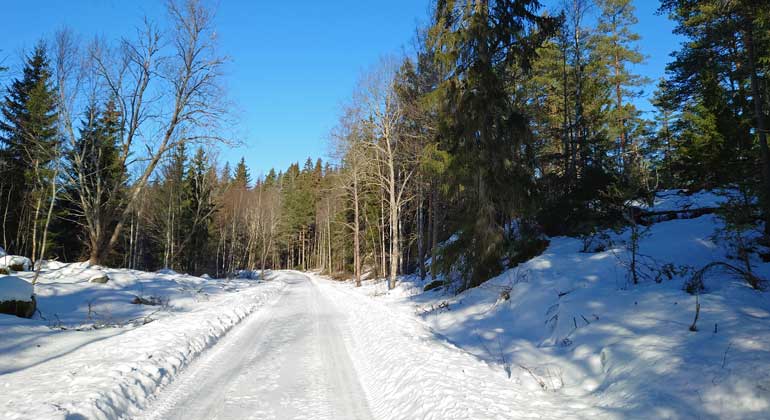 Vinterväg med snö och blandskog leder genom Svartkärrets naturreservat. Foto: Naturföretaget