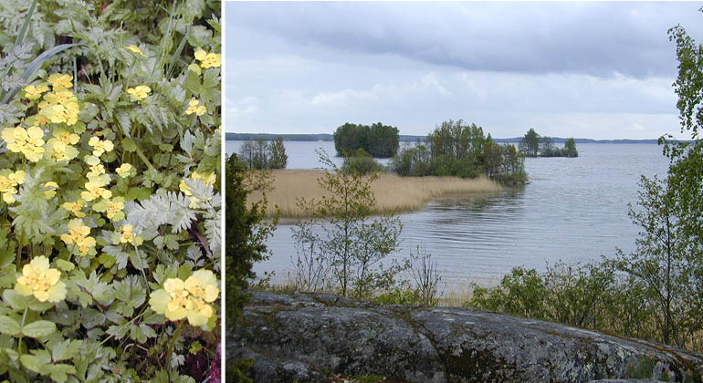 Gillpudra och sjön Tämnaren i naturreservatet Iggelbo