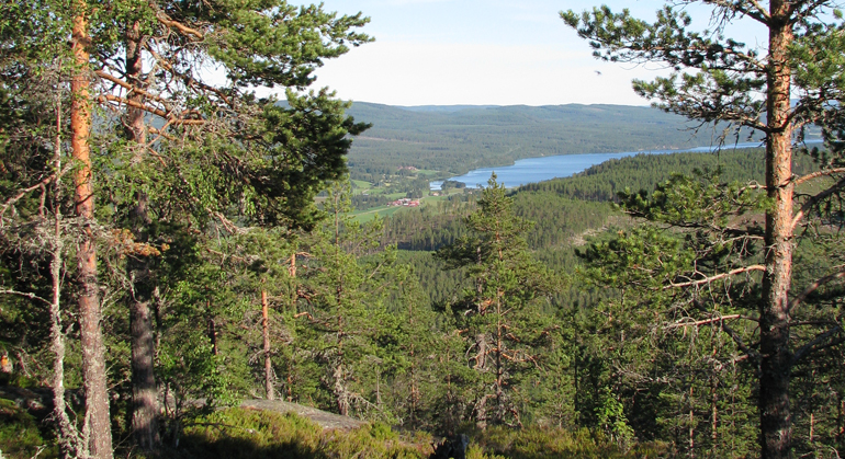 Milsvid utsikt från Järvsöklackens topp. Foto: Länsstyrelsen Gävleborg