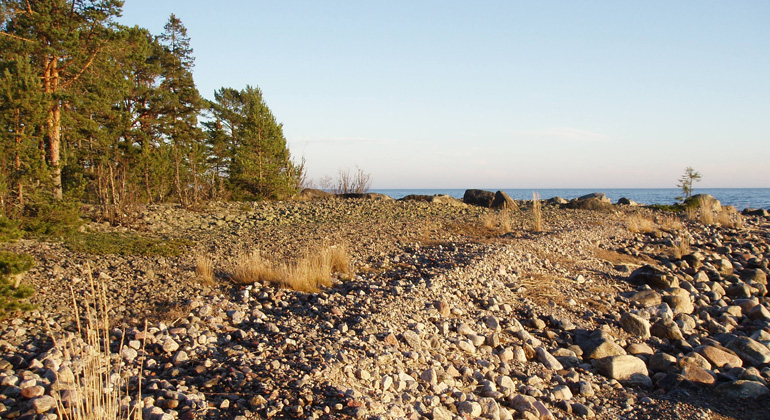På Klackudden syns strandvallar över klapperstensfälten. Foto: Länsstyrelsen Gävleborg