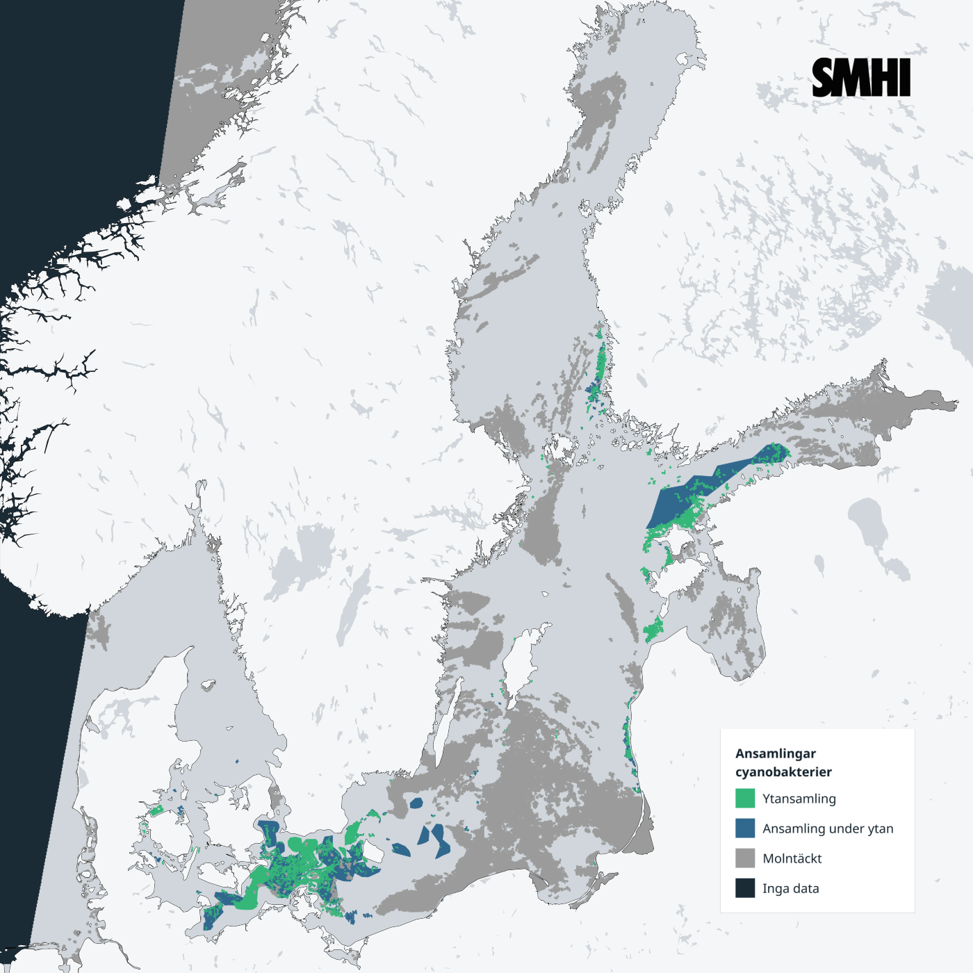 Cyanobakterier från sydvästra till norra Östersjön, i Öresund, Skärgårdshavet och Ålands hav. SMHI.