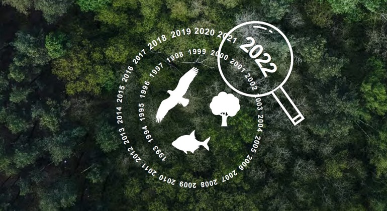 Bilden visar årtal i en snurra där det senaste årtalet 2022 har ett förstoringsglas över sig och med träd i bakgrunden. 
