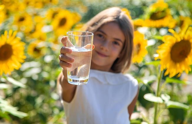 En flicka står i ett solrosfält och håller upp ett vattenglas. Foto: Mostphotos