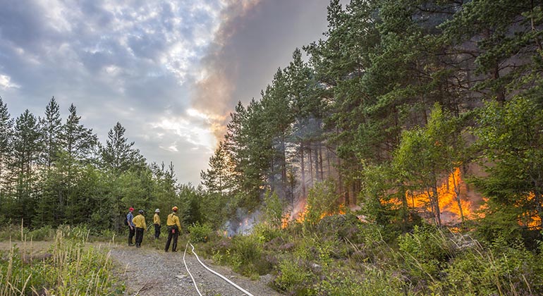 några personer övervakar en brand i skogsmiljö