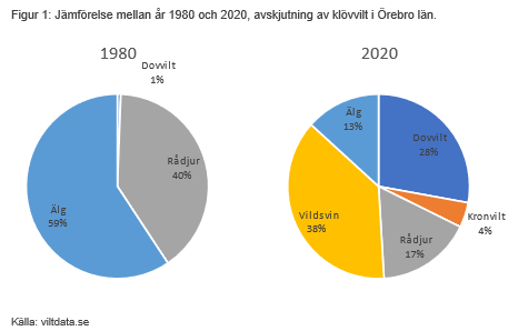 Två diagram över avskjutning av klövvilt. 1980 40 % rådjur, 59 % älg och 1 % dovvilt. År 2020 älg 13 %, vildsvin 38 %, rådjur 17 % krobvilt 4 % och dovvilt 28 %. 