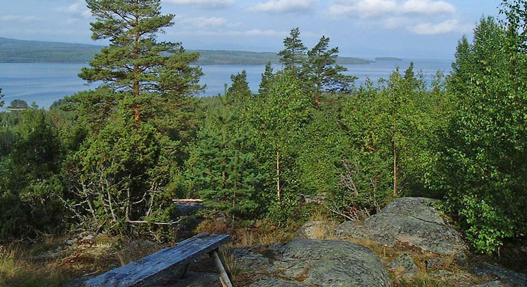 Vy över Siljan från en utsikt, lite buskar och träd i förgrunden.