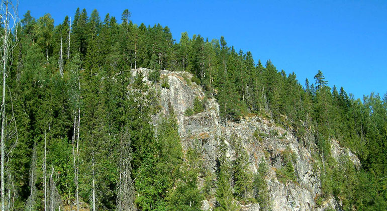 Ett brant berg med skog på toppen och sidorna, sett nerifrån
