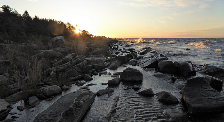 Stenig strandkant vid Hammarö sydspets, i tidigt morgonljus. 