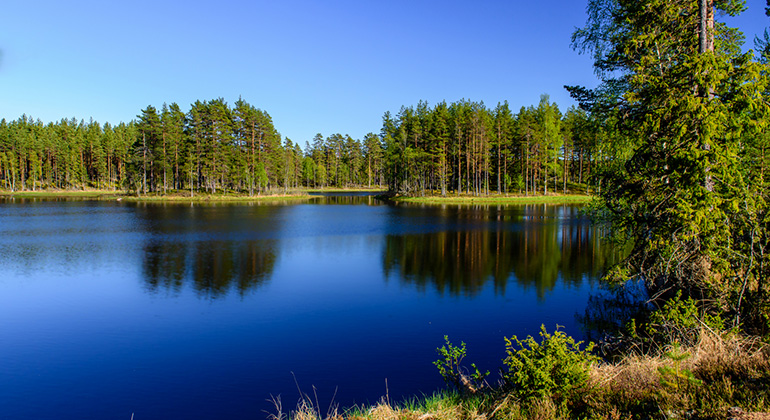 Spegelblank skogssjö i norra Värmland