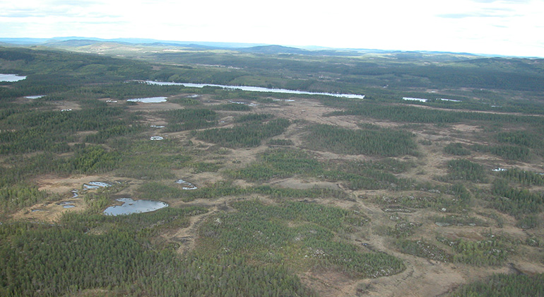 På flygbilden ser man mosaiken av myr, vatten och skog i området.