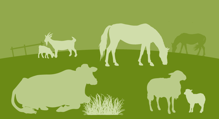 Illustration av betande djur: getter, hästar, får och en ko.