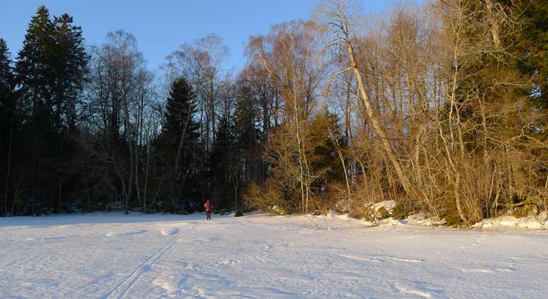 En person åker skidor över sjön Erkens is till naturreservatet Södergarn. Foto: Länsstyrelsen