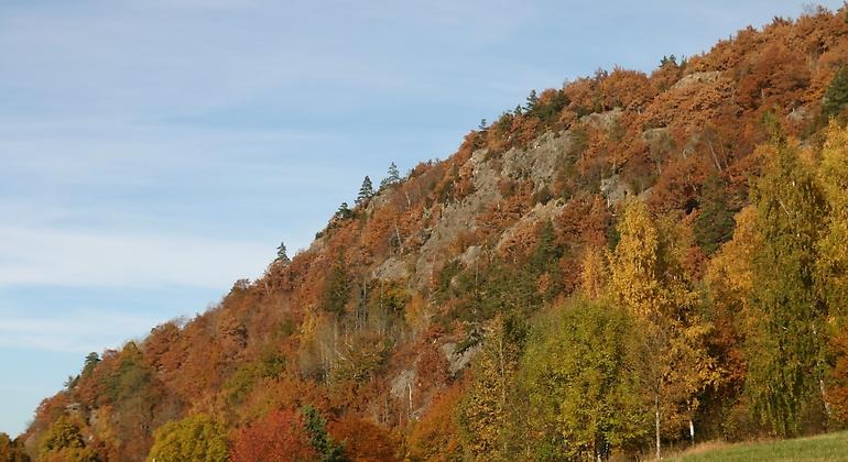 En bergssluttning täckt av lövträd i sprakande höstfärger.
