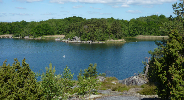 Utsikt över Bruksvikens vatten och lövskog. Foto: Ingegerd Nordahl/Länsstyrelsen