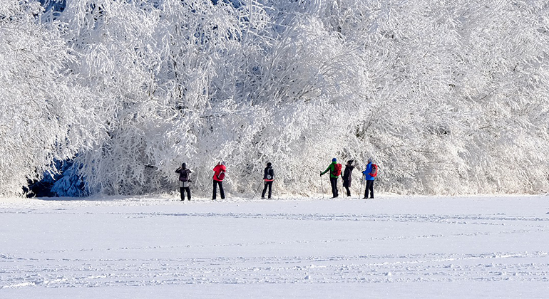 Ett snöigt landskap där en grupp människor promenerar.